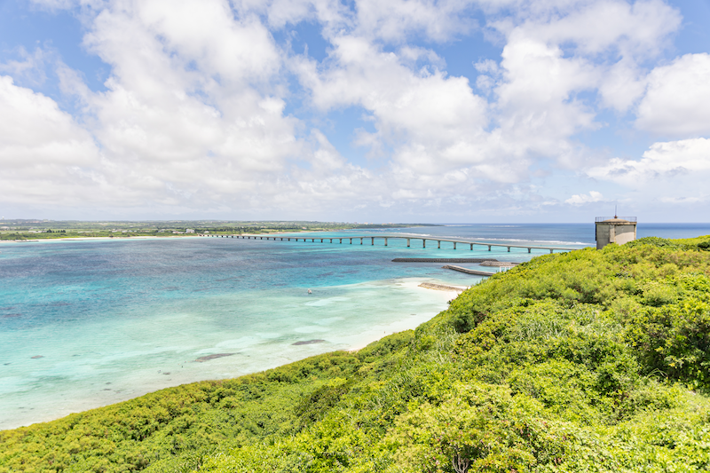 KAIKENのチイサナ水族館