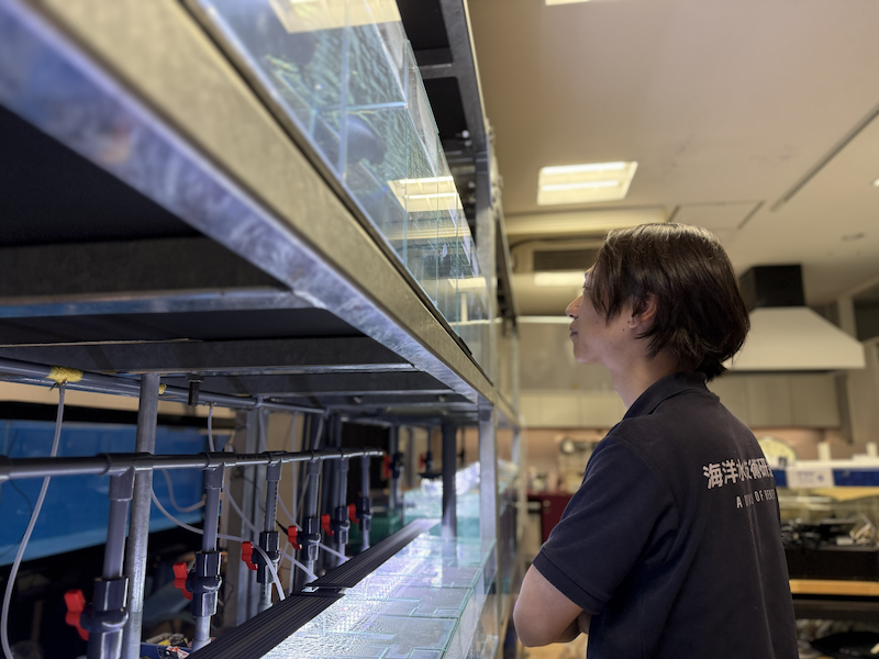KAIKENのチイサナ水族館
