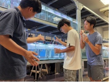 KAIKENのチイサナ水族館