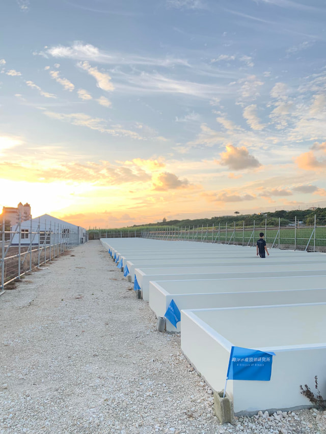 第六弾 沖縄県にシャコ貝の陸上養殖施設を開設